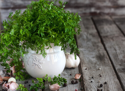 Chervil - 100g