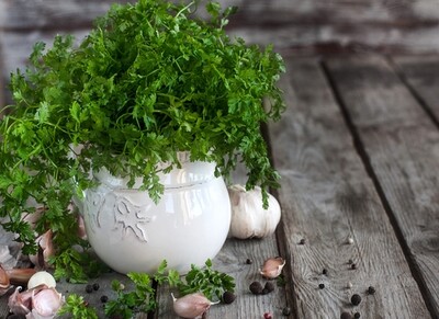 Chervil - 100g