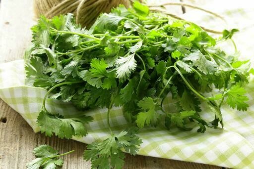 Coriander (Micro) - 30g