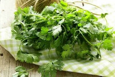 Coriander (Micro) - 30g