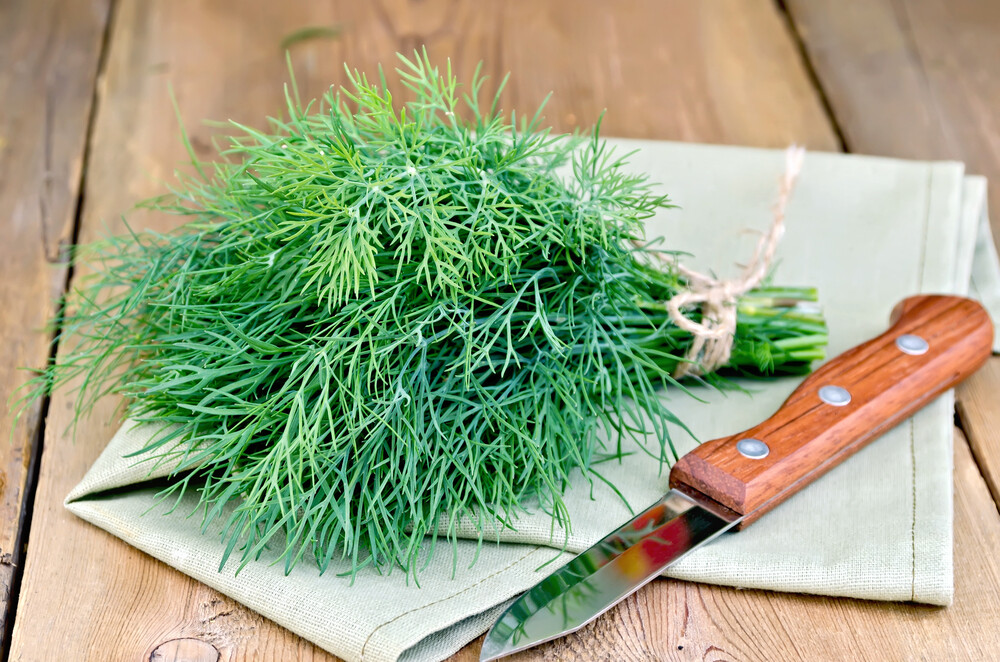 Dill -100g