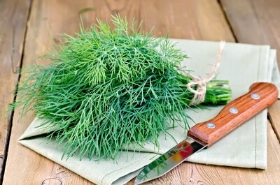 Dill -100g