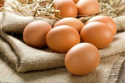 Free Range Eggs - Per 6