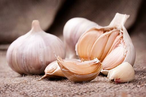 Garlic - Bulb