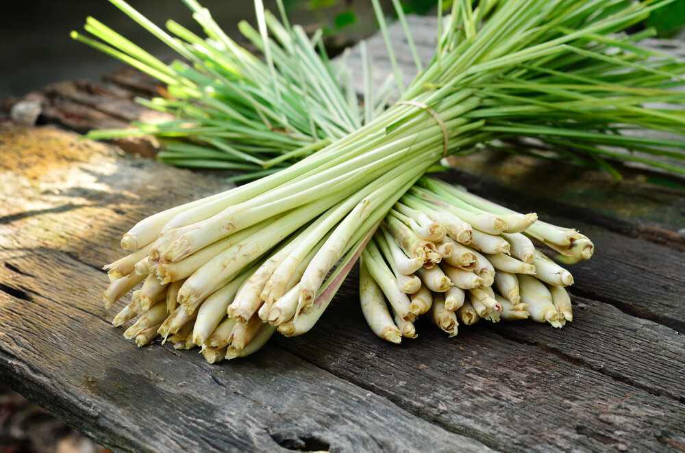 Lemongrass - 100g