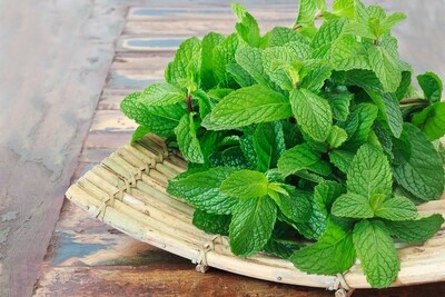 Mint - 100g