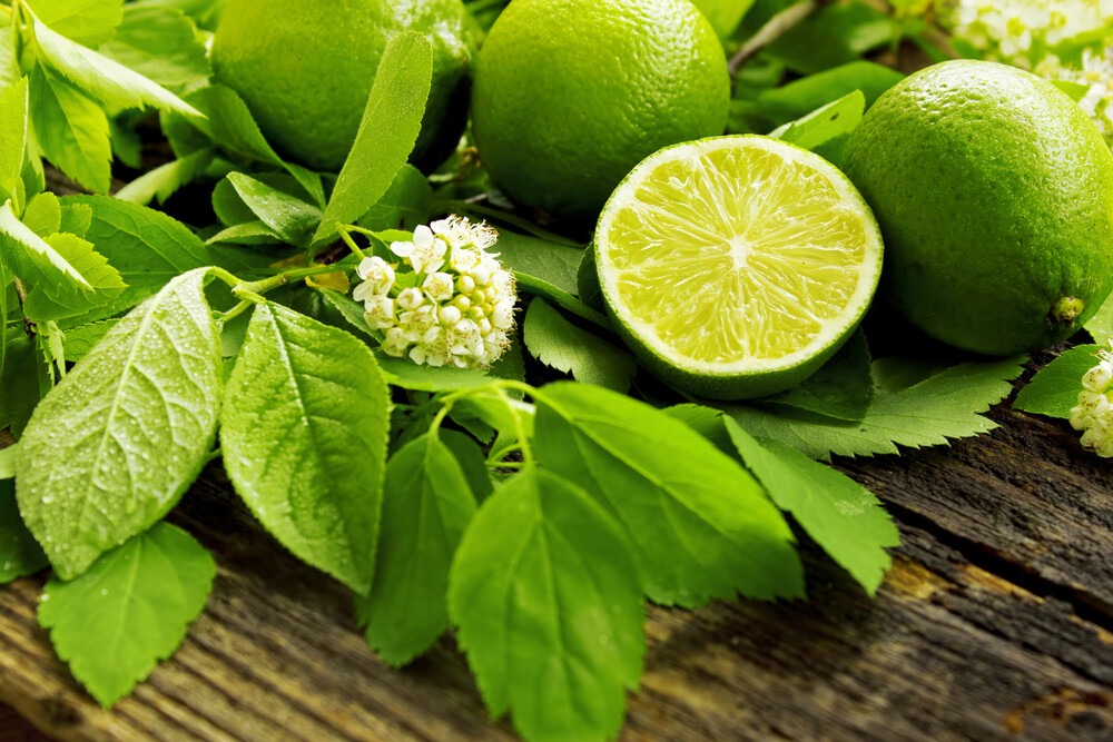 Limes - Each