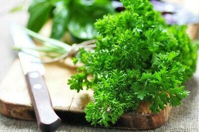 Parsley (Curly) - 100g