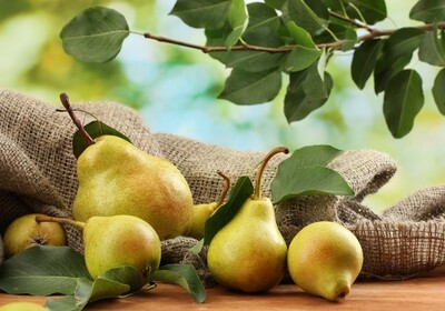 Pears - Each