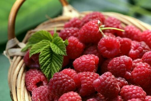 Raspberries - 125g Punnet