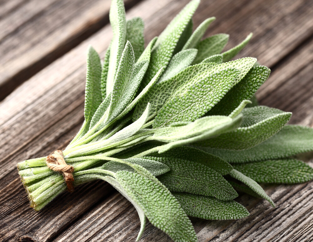 Sage - 100g