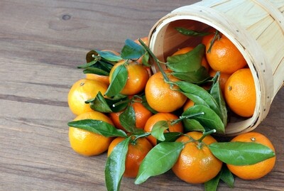 Satsumas - Each