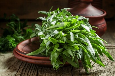 Tarragon - 100g