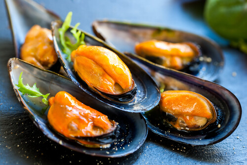 Mussels in Brine - 450g Mussels in Brine - 450g