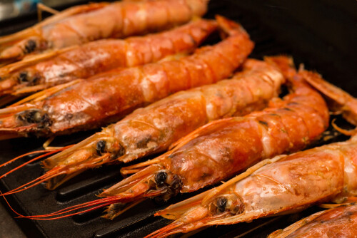 Scottish Langoustines (frozen)