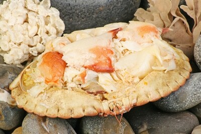 Dressed Cromer Crab (Frozen) - 130g meat weight
