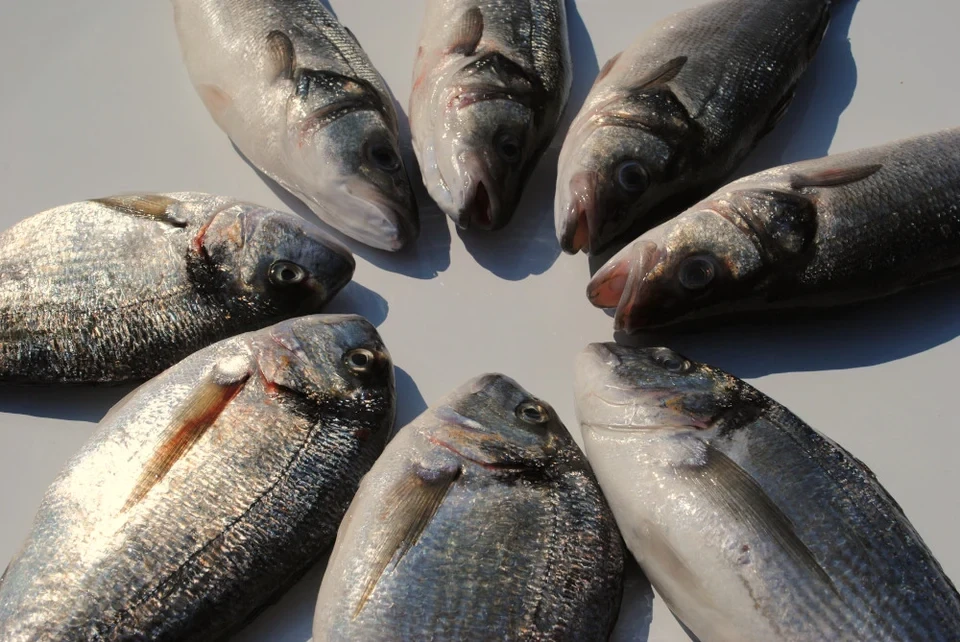 Whole Fish Box (8 Portions) Whole Fish Box (8 Portions)