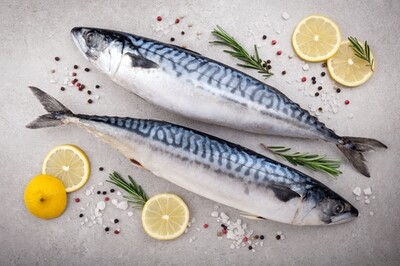 Scottish Line Caught Mackerel- 2 x 250-350g