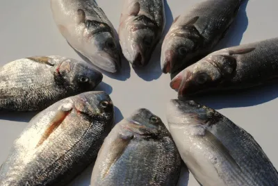 Whole Fish Box (8 Portions)