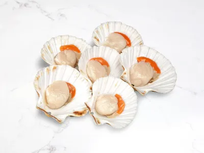 Cornish Scallops Half Shell - Pack of 6