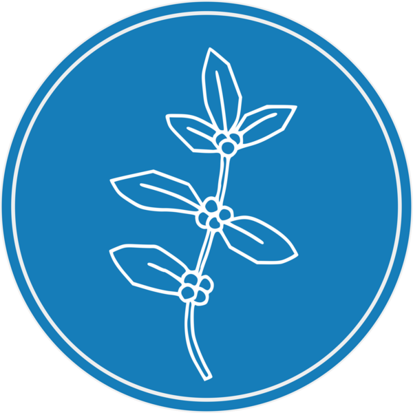 Haven Coffee & Breakfast Bar