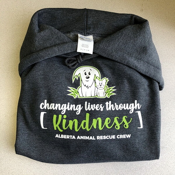 DISCONTINUED Clothing - Hoodie - Changing Lives
