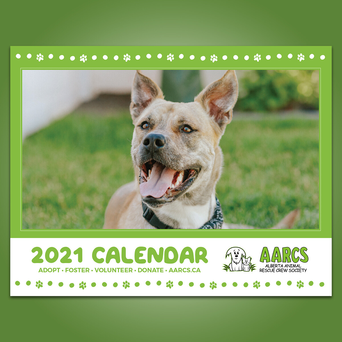 DISCONTINUED 2021 Calendar
