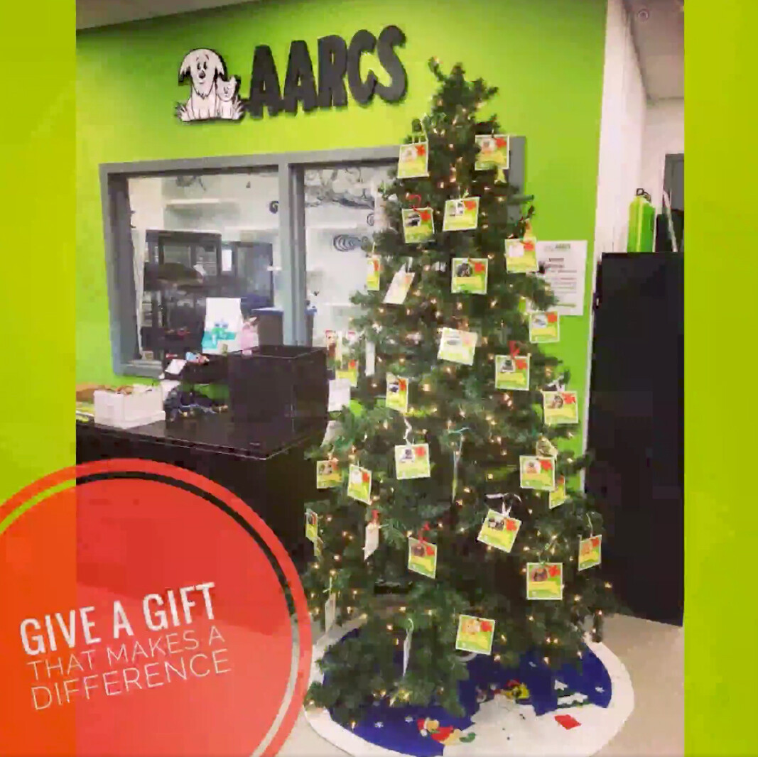 *AARCS Giving Tree Gifts