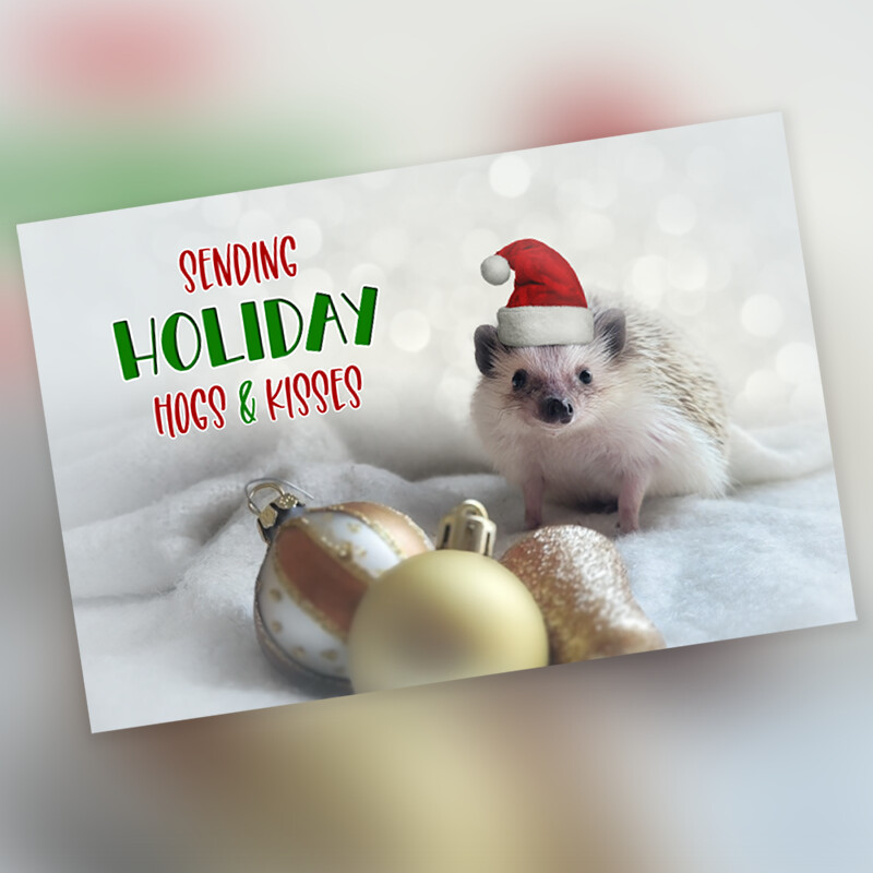 *Cards - Holiday 10 Pack - Blank