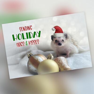 *Cards - Holiday 10 Pack - Blank *Cards - Holiday 10 Pack - Blank