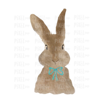 Bunny Rabbit Watercolor Easter Transfer Design PNG | Sublimation Design | Heat Transfer PNG | Digital Download | Printable Art | Clip Art