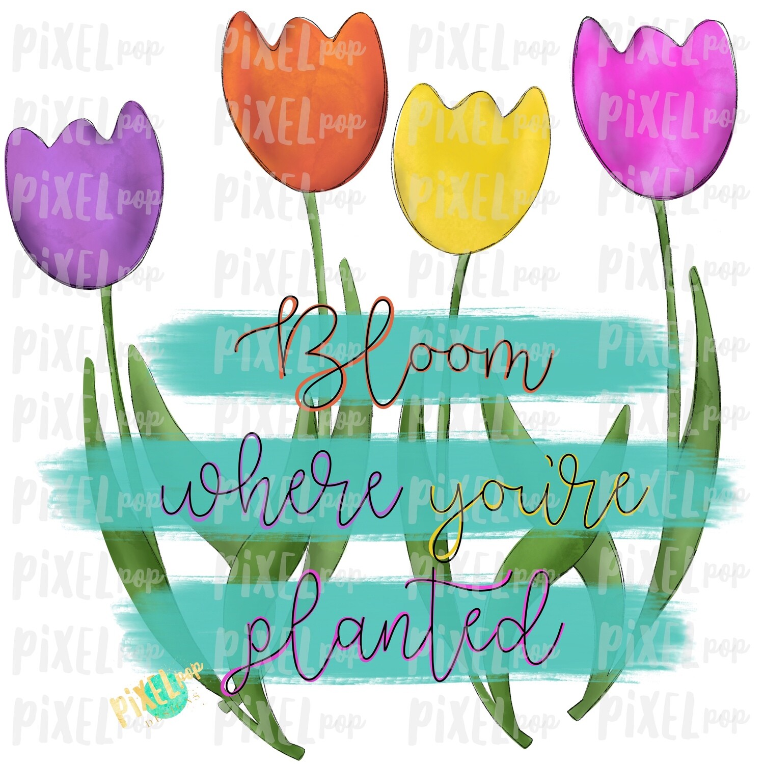 Watercolor Tulips Bloom Where You&#39;re Planted Sublimation PNG | Sublimation Design | Heat Transfer PNG | Digital Download | Printable Art