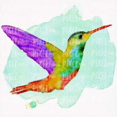Watercolor Hummingbird PNG | Sublimation Watercolor Design | Hand Painted Bird | Watercolor Bird Digital Download | Printable Art | Clip Art