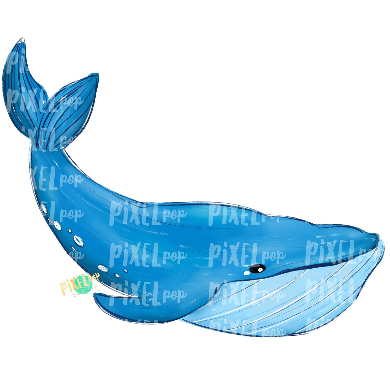 Blue Whale PNG | Whale | Whale Art | Whale Sublimation | Whale Sublimation Design | Whale Clip Art | Whale Doodle | Digital Whale Art