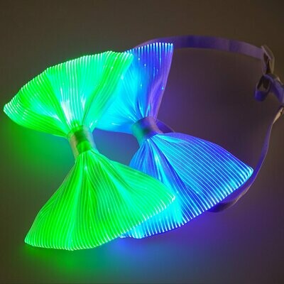 Leuchtende RGB LED Glas Faser Glasfaser Fliege 7 Farben + Farbwechsel USB +AKKU