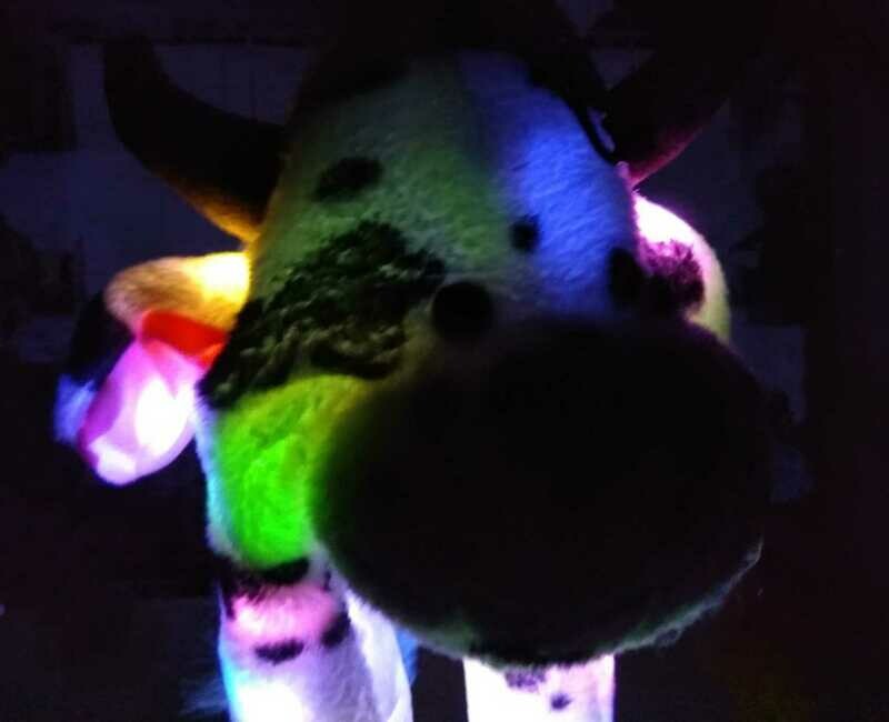 Leucht Wackel Ohren Mütze Muh Kuh weiß schwarz gefleckt LED 3 Leuchtmodi wackelohren