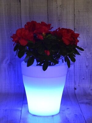 LED Blumentopf, automatischer Farbwechsel, bedruckte Schachtel, 17x18,6cm