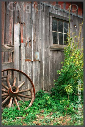 Weathered, Worn, Waiting