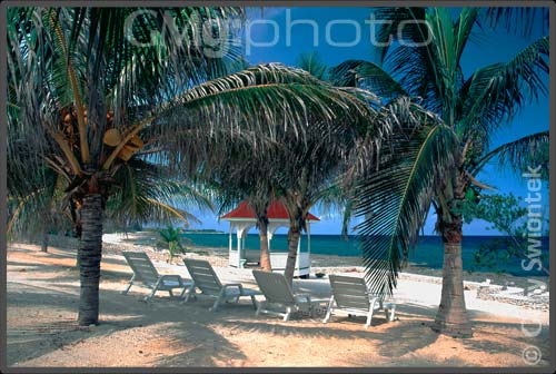 Four Chairs, No Waiting