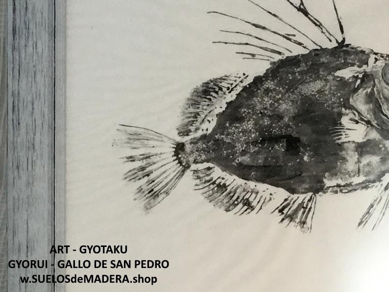 GALLO DE SAN PEDRO