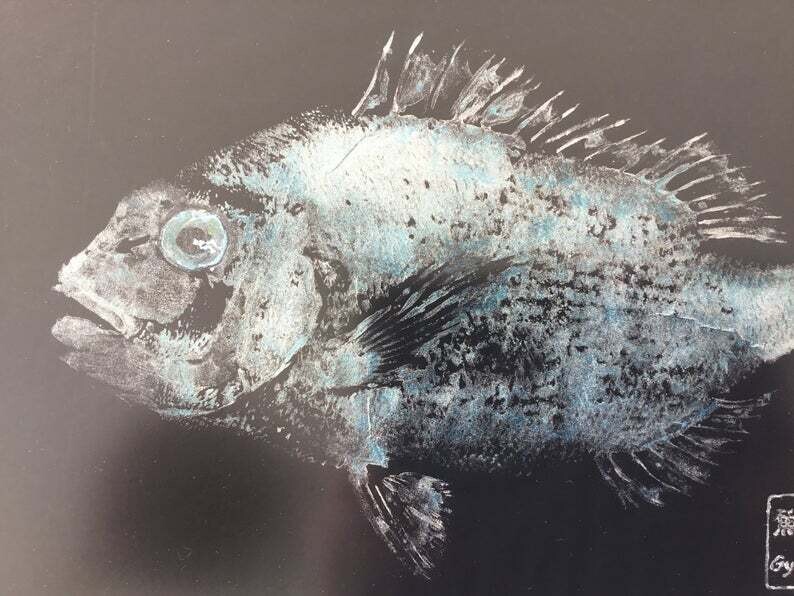 PARGO PLATEADO