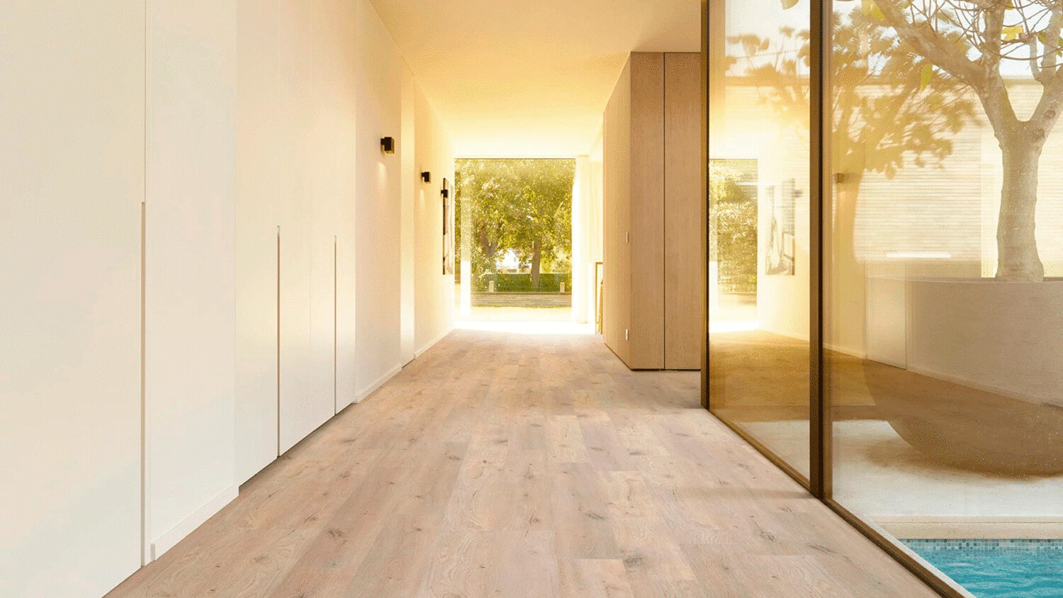 Forest desde 49,00€/m2