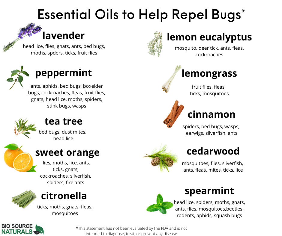 Download FREE Chart - Essential Oils to Help Repel Bugs - Insects
