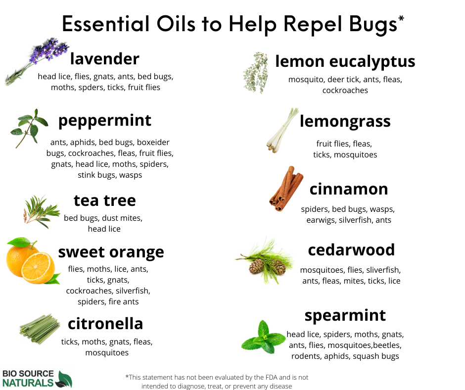 Download Free Chart Essential Oils To Help Repel Bugs Insects Store Bio Source Naturals