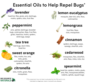 FREE CHART - ESSENTIAL OILS TO HELP REPEL BUGS - INSECTS