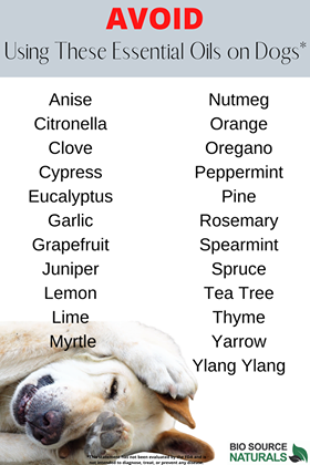 FREE Essential Oils to AVOID for Dogs Chart