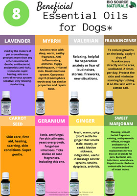 FREE Essential Oils Beneficial for Dogs Chart