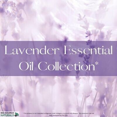 French Lavender Pure Essential Oil Collection (Specially Priced for Gift Giving)