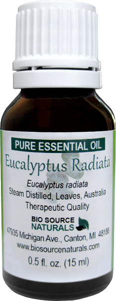 Eucalyptus, Radiata Pure Essential Oil with Analysis Report