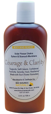 Courage & Clarity Body-Mind Lotion 3.8 fl oz (112 ml)